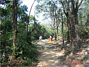 Thumbnail of M03_0011.jpg