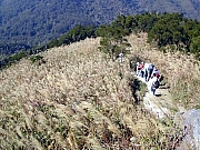 Thumbnail of M07_1_049.jpg