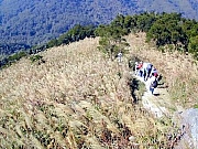 Thumbnail of M07_2_111.jpg