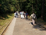 Thumbnail of M08_031.JPG