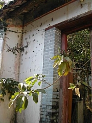 Thumbnail of C_005_大浪癈村.jpg