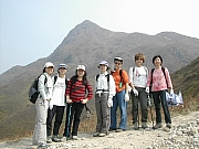 Thumbnail of DSCN7242.JPG