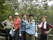 Thumbnail of DSCN0059.JPG