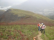 Thumbnail of DSCN8060.JPG