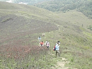 Thumbnail of DSCN8064.JPG