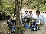 Thumbnail of DSCN9034.JPG