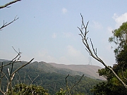 Thumbnail of DSCN1154.JPG