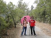 Thumbnail of DSCN1155.JPG