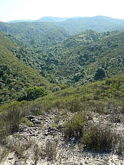 Thumbnail of DSC03036.JPG