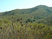 Thumbnail of DSC03047.JPG