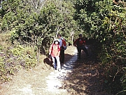 Thumbnail of PB280013.JPG