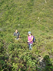 Thumbnail of DSC03220.JPG