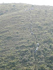 Thumbnail of DSCN1721.JPG