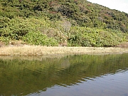 Thumbnail of DSCN1741.JPG