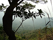 Thumbnail of DSC03353.JPG