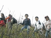 Thumbnail of DSCN2105.JPG