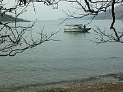 Thumbnail of PICT0206.JPG