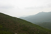 Thumbnail of IMG_8654.JPG