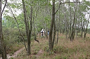 Thumbnail of IMG_8687.jpg