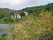 Thumbnail of IMG_2289.JPG