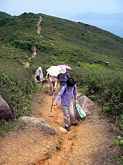 Thumbnail of P8280058.jpg