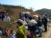 Thumbnail of PC180122.JPG