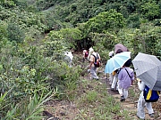Thumbnail of P8060060.JPG