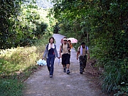 Thumbnail of PB260063.JPG