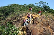Thumbnail of IMG_6425.JPG