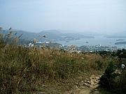 Thumbnail of PC032522.JPG