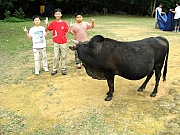 Thumbnail of P4220039.JPG