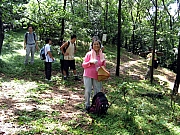 Thumbnail of P7290017.JPG