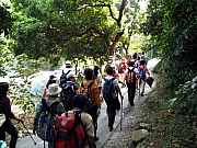 PA210016.JPG (270771 bytes)