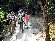 PA210018.JPG (267309 bytes)