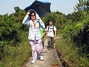 PA210047.JPG (273957 bytes)