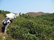 PA210059.JPG (249990 bytes)