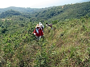 PA210061.JPG (312655 bytes)