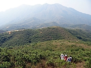 PA210063.JPG (189927 bytes)