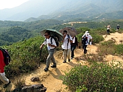 PA210064.JPG (230791 bytes)