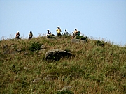 PA210071.JPG (180455 bytes)