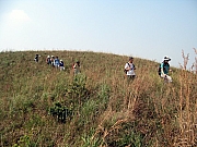 PA210075.JPG (218944 bytes)