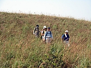 PA210076.JPG (275603 bytes)