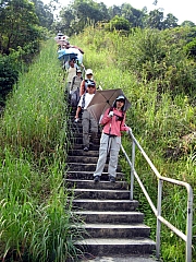 PA210138.JPG (312365 bytes)