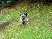 PA210144.JPG (269025 bytes)