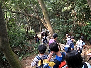 Thumbnail of PB180014.JPG