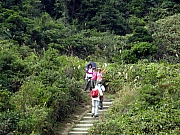 Thumbnail of PB250055.JPG