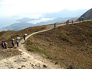 Thumbnail of PB250128.JPG