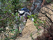 Thumbnail of PC230134.JPG