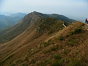Thumbnail of P1060141.JPG