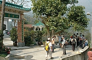 Thumbnail of pic_ChuChunHing_18.JPG